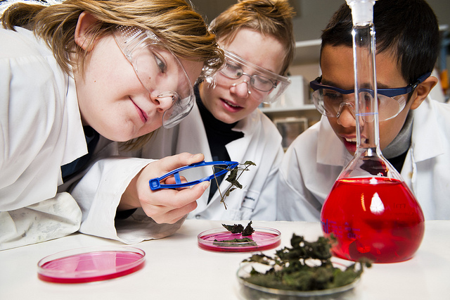 Young people working in a stem laboratory.