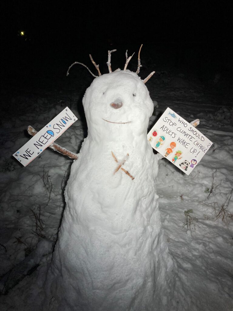 Picture of a snowman.