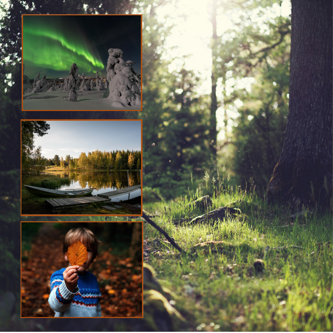 Kuvasarjassa taustalla isolla on kuva keväisestä ja vehreästä metsästä. Vasemmassa laidassa on lisäksi kolme pikkukuvaa, jotka esittelevät suomalaista luontoa eri vuodenaikoina. Talvinen kuva on lappilaisesta metsästä, jonka yllä roihuaa revontulet. Kesäinen kuva on järven rannalta yöttömänä kesäiltana. Syksyisessä kuvassa ruskametsässä oleva lapsi esittelee kameralle kellastunutta lehteä, jonka hän on poiminut maassa näkyvästä lehtipaljoudesta.